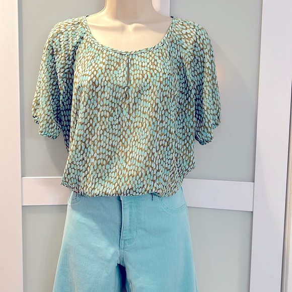 CAbi Mint Teal Stretch Skinny Jeans Low Rise Size 8 Style 322 - Picture 10 of 12